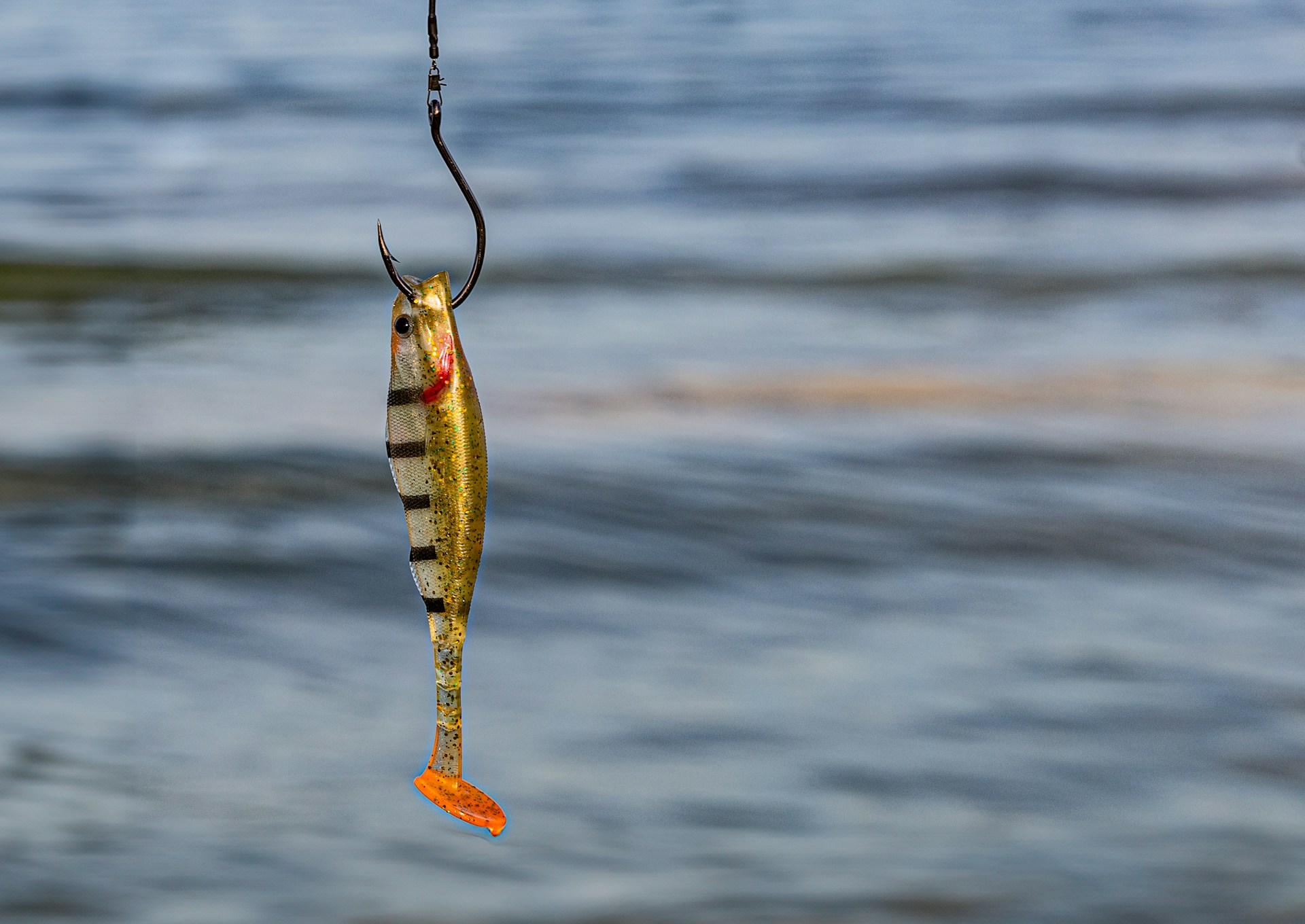 釣魚預防